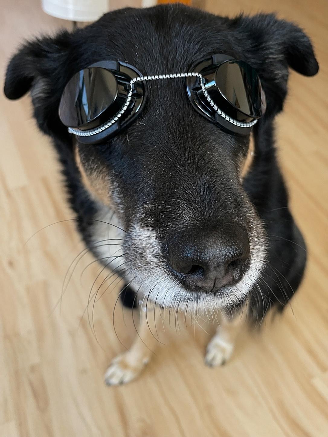 Schutzbrille für die Lasertherapie :)