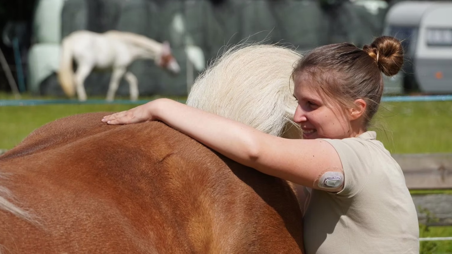 Tierphysiotherapie