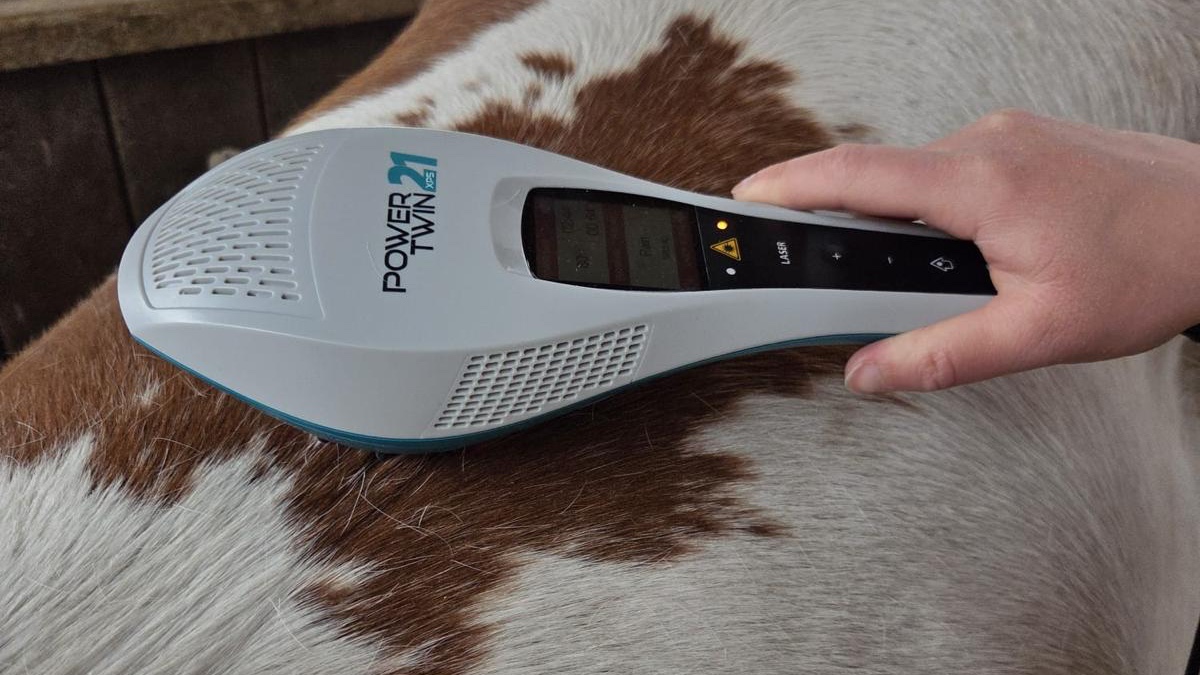Low-Level-Lasertherapie