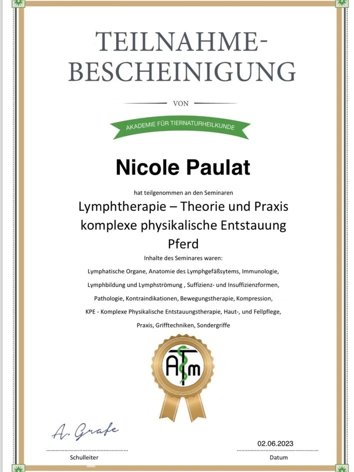 Lymphtherapie