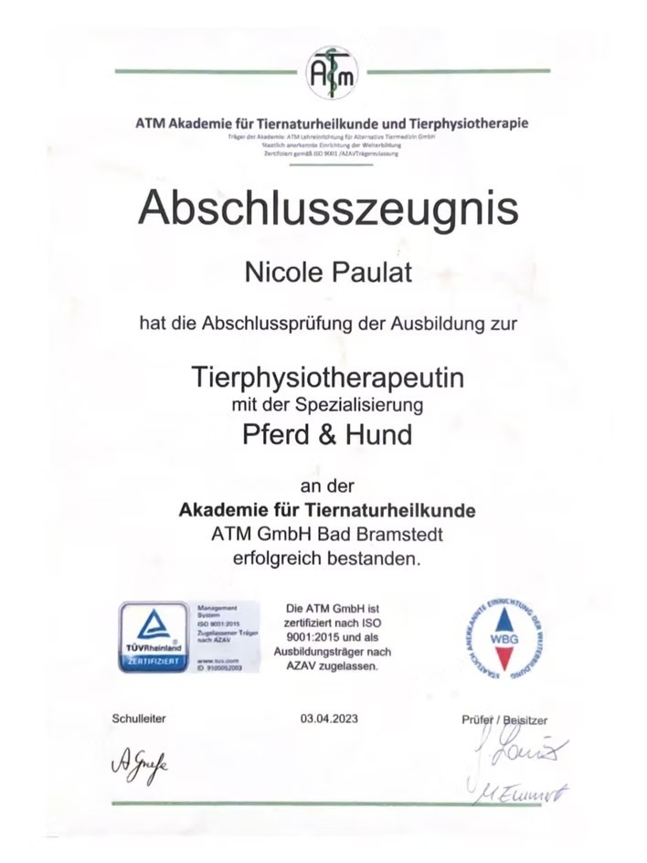 Abschluss